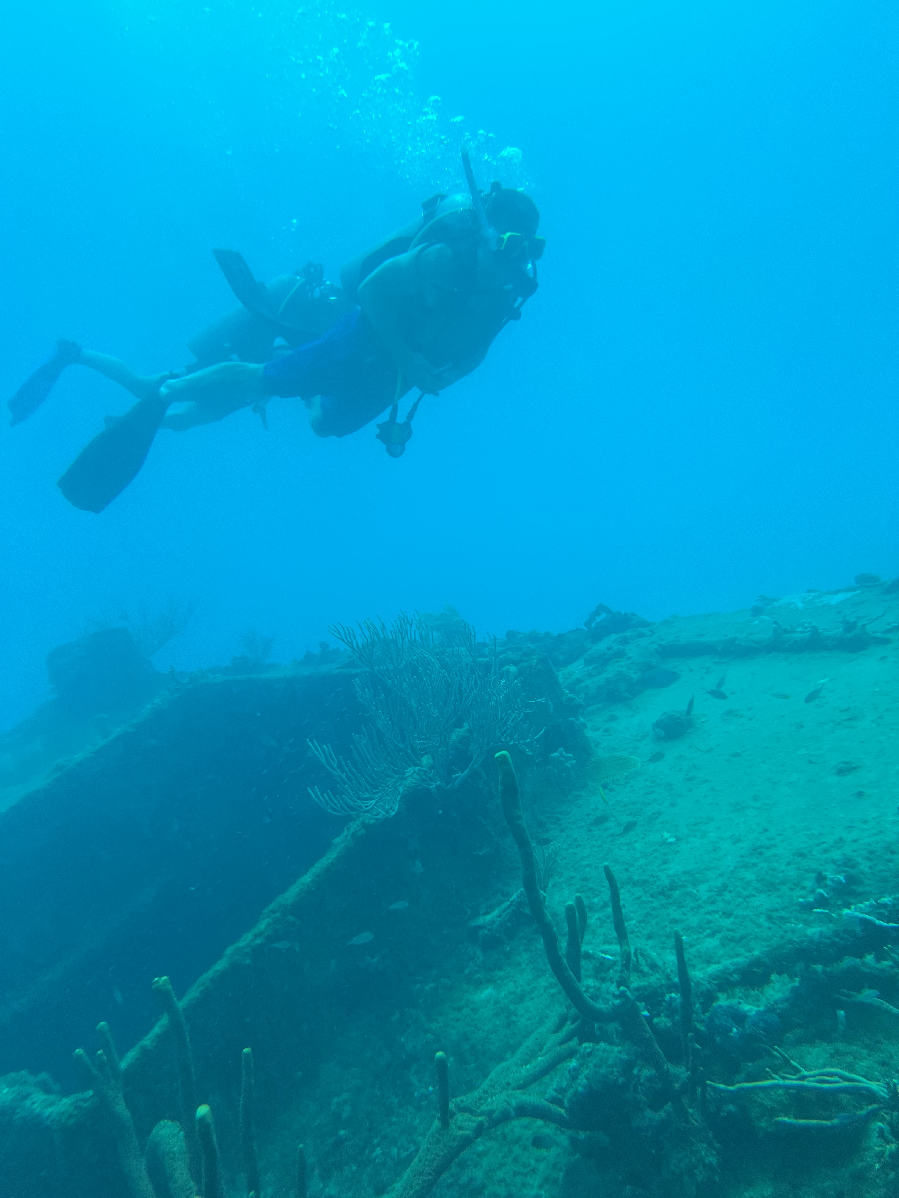 Barbados Scuba Diving Experiences And Packages - private dive leader