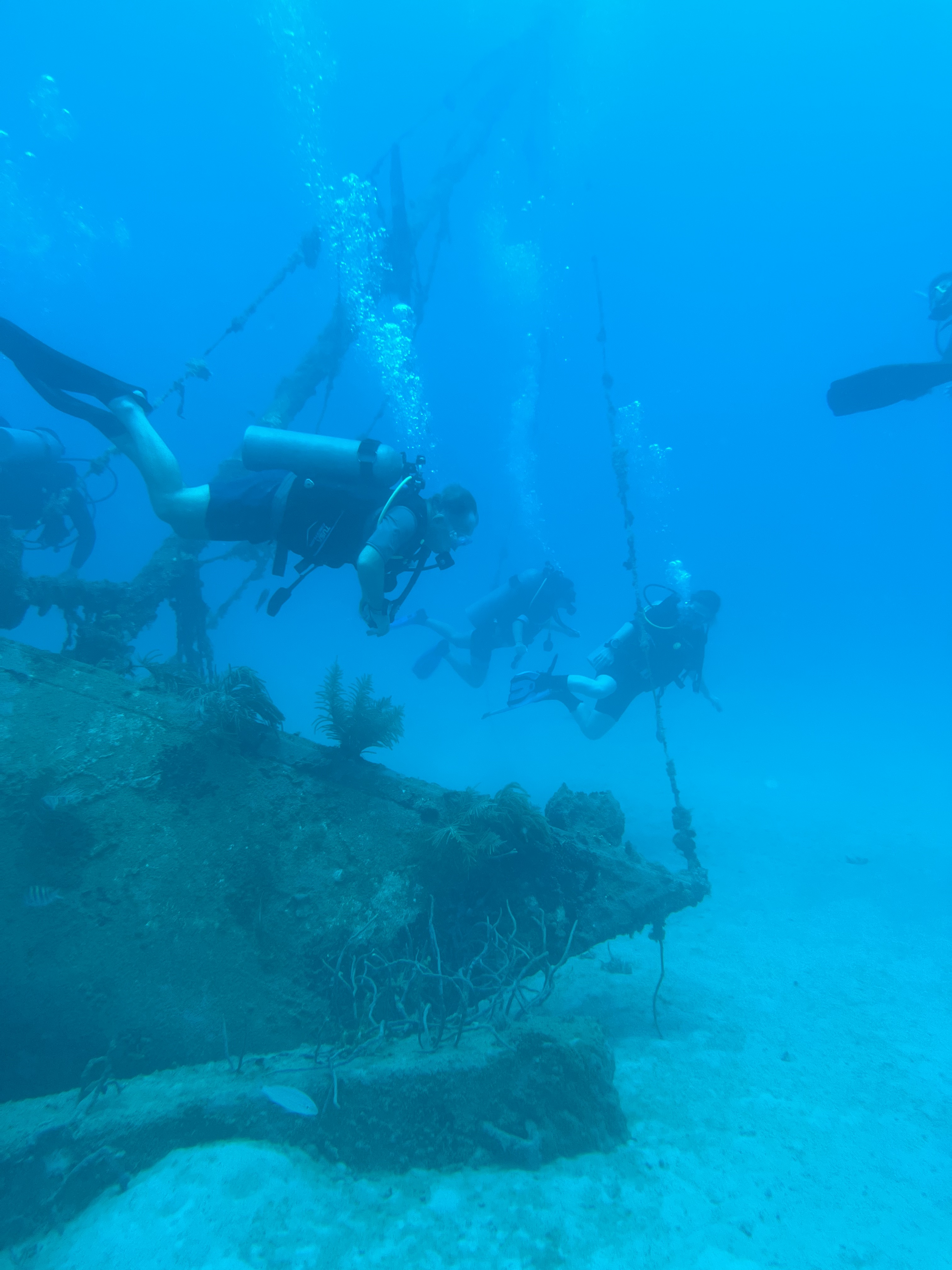 Barbados Scuba Diving Experiences And Packages