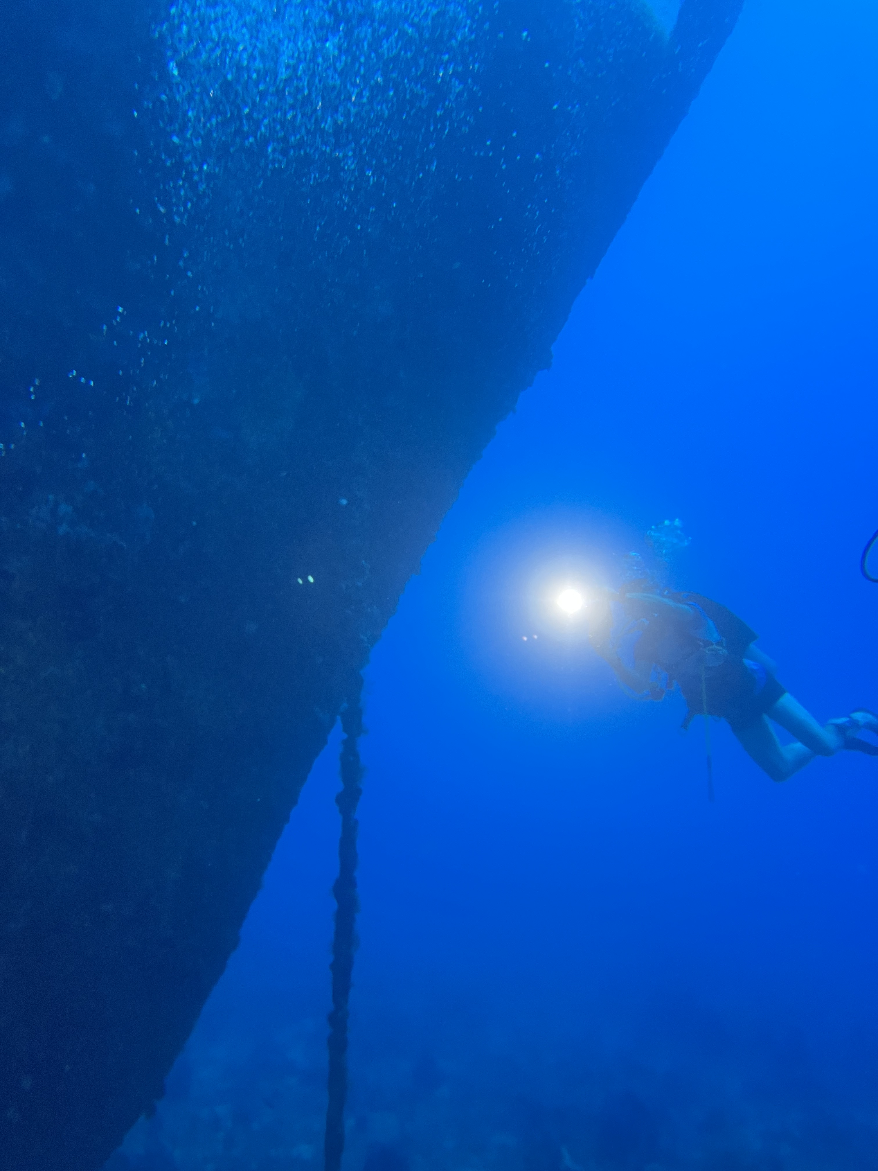 Barbados Scuba Diving Experiences And Packages - Night Dive