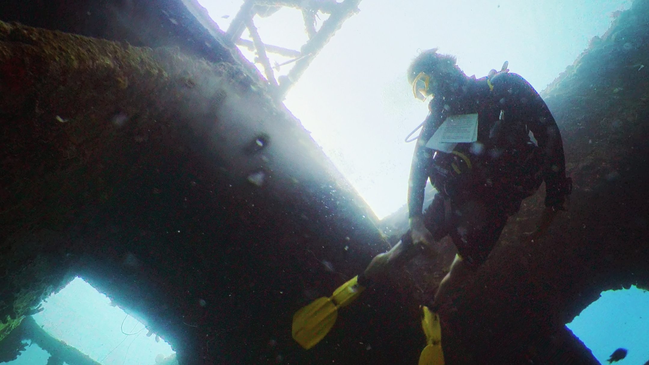 Barbados' Top Dive Sites: